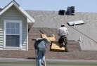Fig Tree Pocketskylight-replacements(2).jpg; ?>